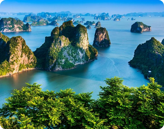 Hạ Long