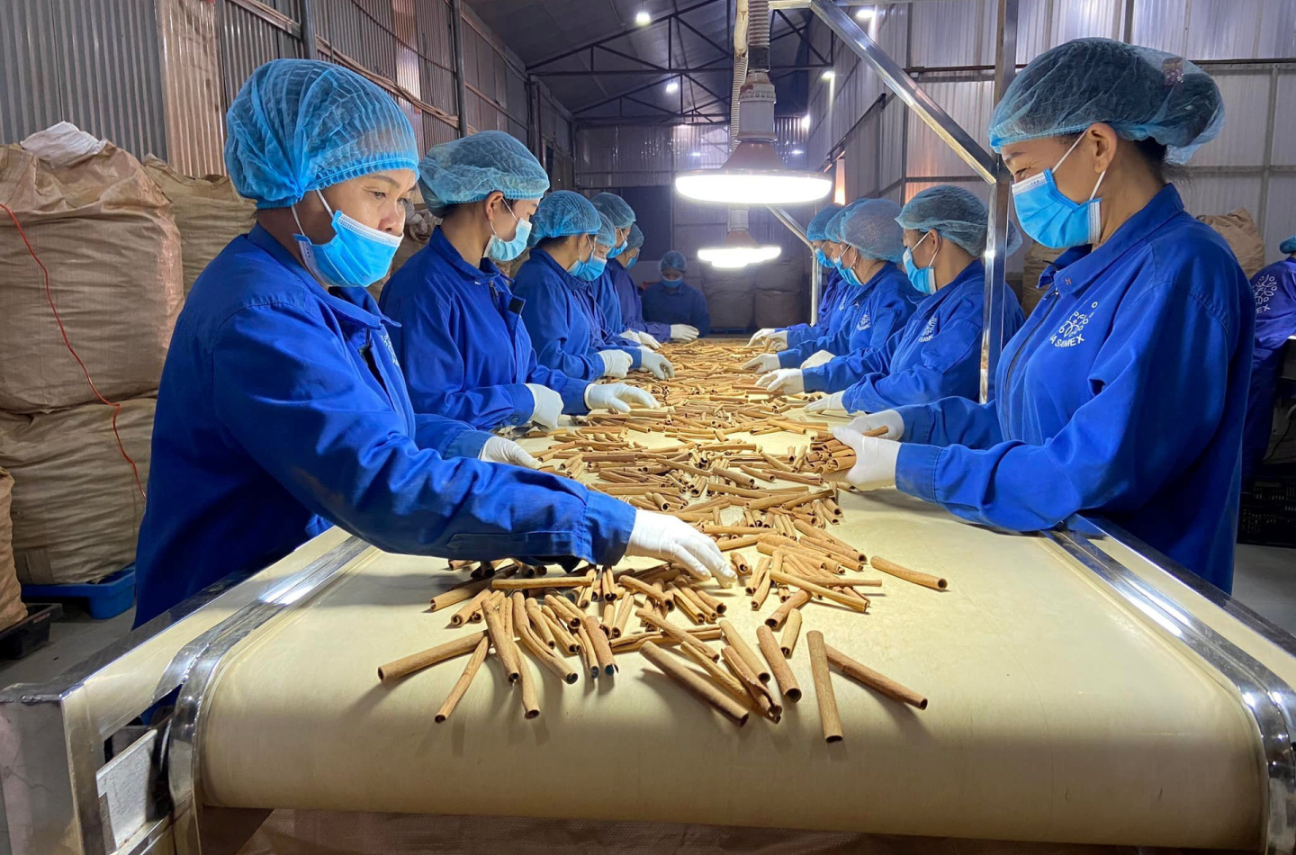 Chế biến dược liệu