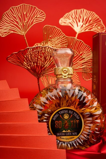 Rượu Đông Trùng Hạ Thảo bọ xít tự nhiên Hoàng Liên Sơn